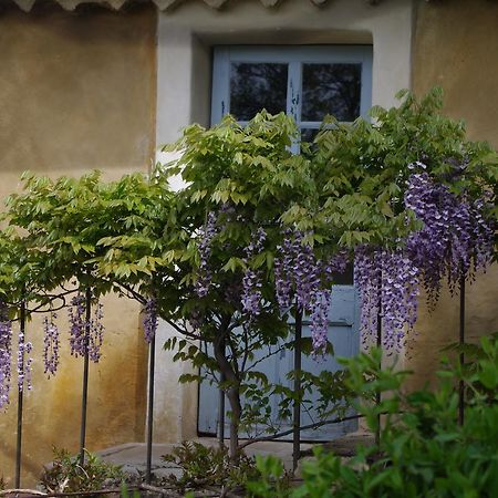 Chambre D'Hotes Au Coquin De Sort Vaison-la-Romaine Luaran gambar