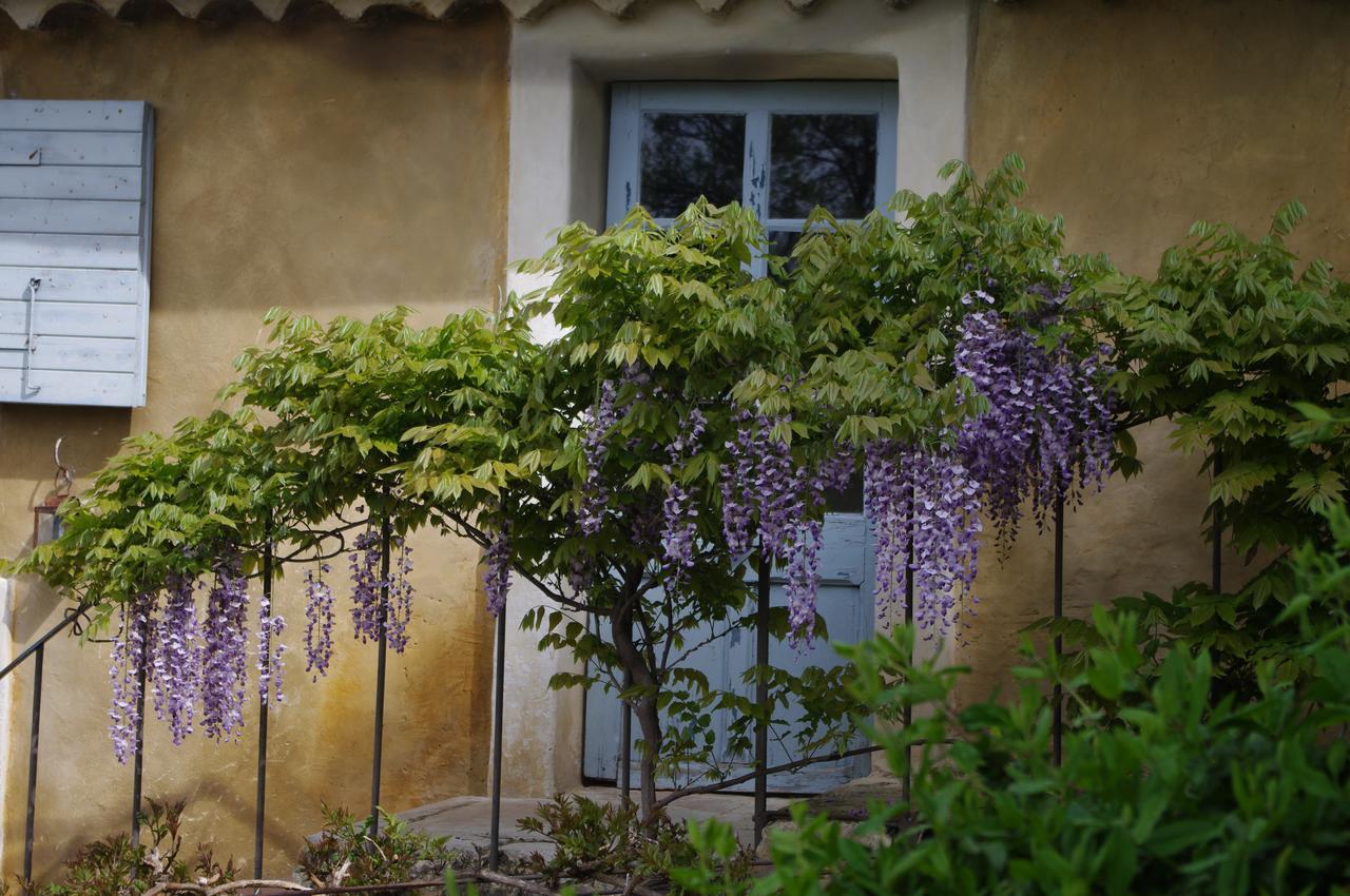 Chambre D'Hotes Au Coquin De Sort Vaison-la-Romaine Luaran gambar